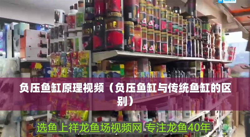 負壓魚缸原理視頻（負壓魚缸與傳統魚缸的區別）