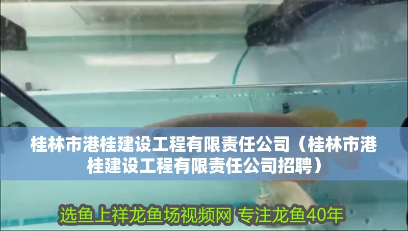 桂林市港桂建設工程有限責任公司（桂林市港桂建設工程有限責任公司招聘）