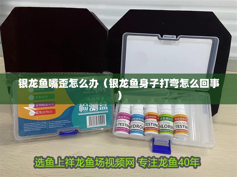 銀龍魚嘴歪怎么辦（銀龍魚身子打彎怎么回事）