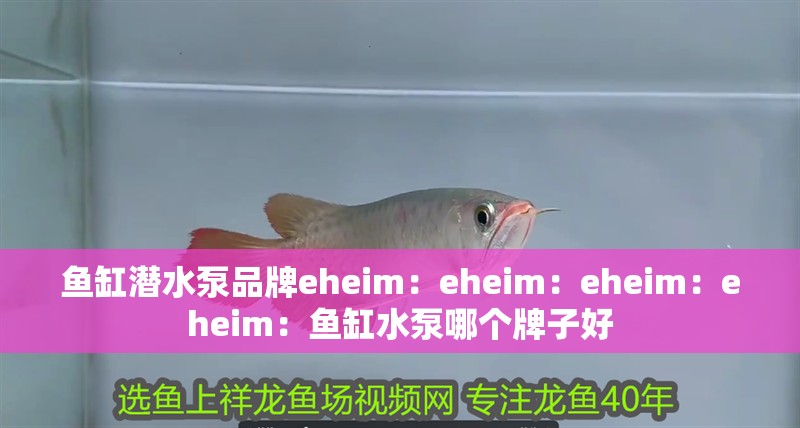 魚缸潛水泵品牌eheim：eheim：eheim：eheim：魚缸水泵哪個牌子好