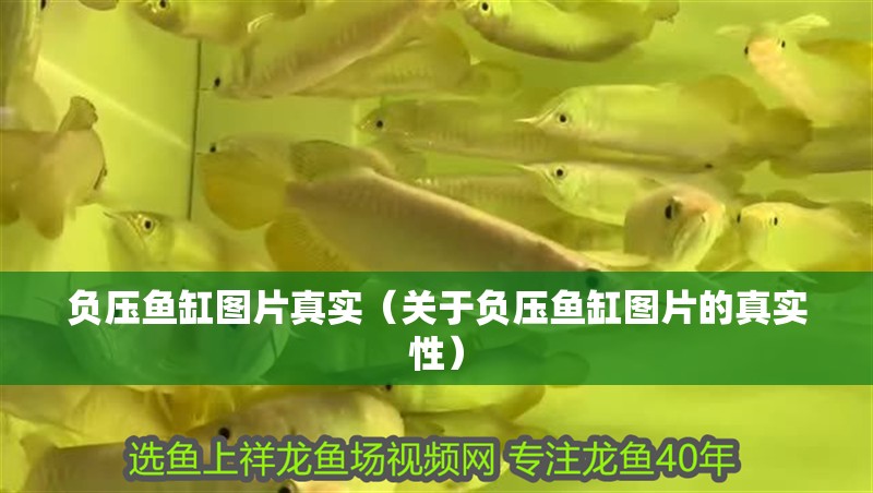 負壓魚缸圖片真實（關于負壓魚缸圖片的真實性）