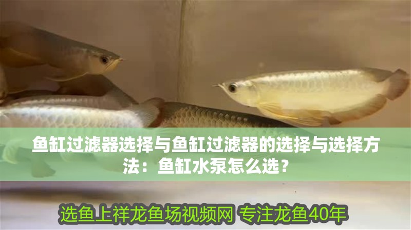 魚缸過濾器選擇與魚缸過濾器的選擇與選擇方法：魚缸水泵怎么選？