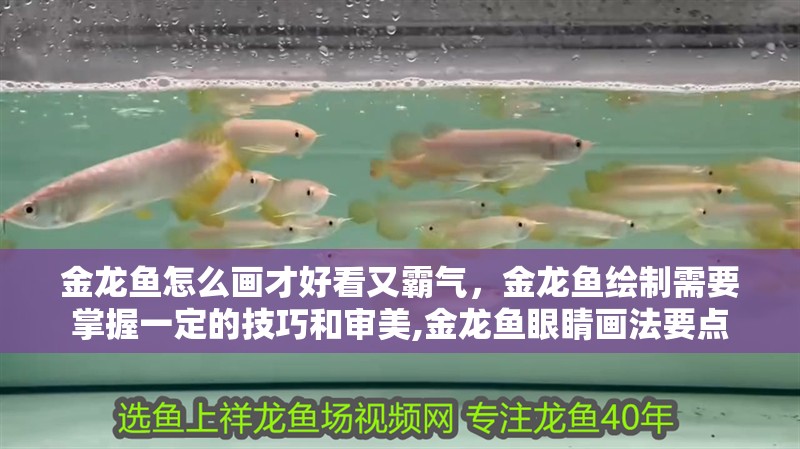 金龍魚怎么畫才好看又霸氣，金龍魚繪制需要掌握一定的技巧和審美,金龍魚眼睛畫法要點