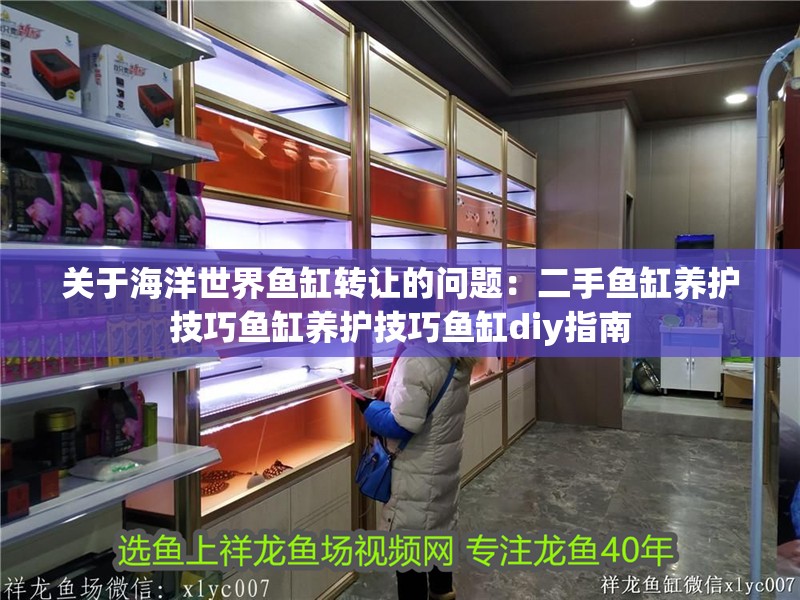 關(guān)于海洋世界魚(yú)缸轉(zhuǎn)讓的問(wèn)題：二手魚(yú)缸養(yǎng)護(hù)技巧魚(yú)缸養(yǎng)護(hù)技巧魚(yú)缸diy指南