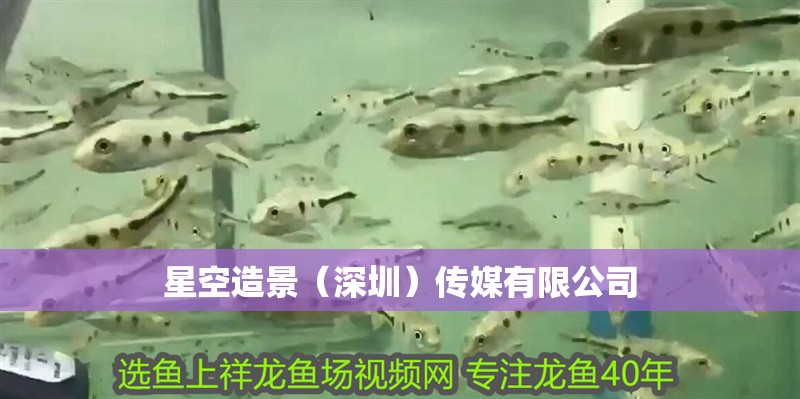 星空造景（深圳）傳媒有限公司