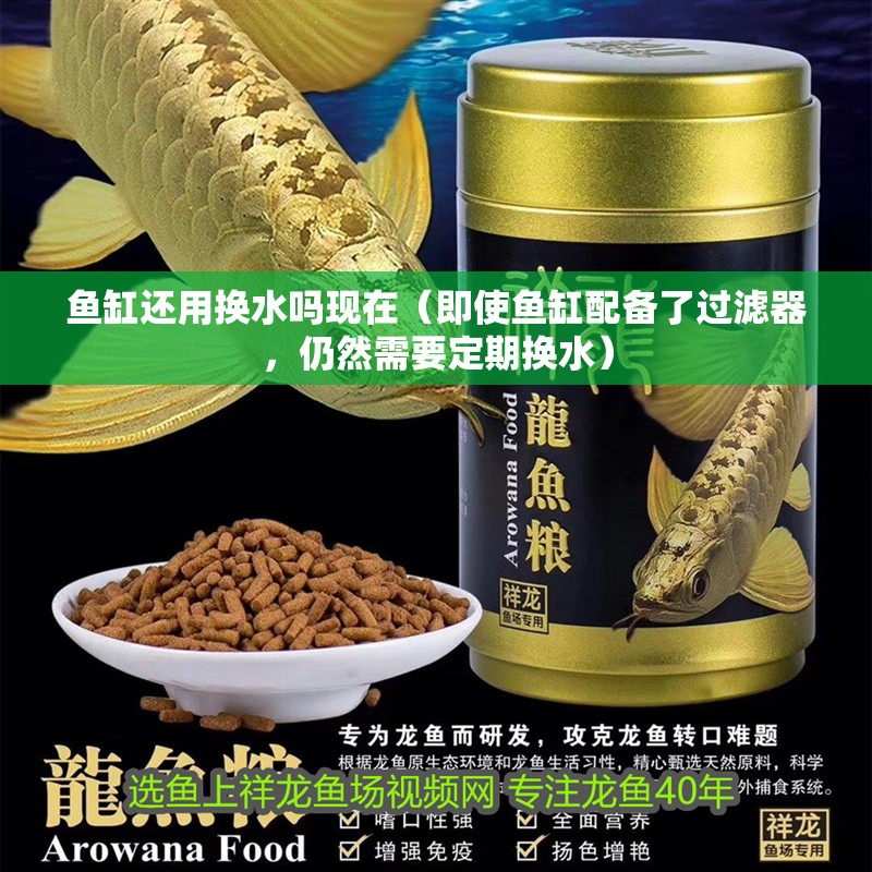 魚缸還用換水嗎現在（即使魚缸配備了過濾器，仍然需要定期換水）