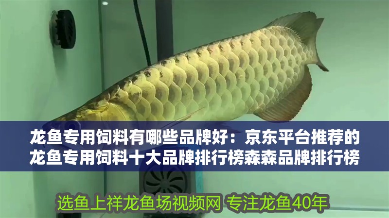 龍魚專用飼料有哪些品牌好：京東平臺推薦的龍魚專用飼料十大品牌排行榜森森品牌排行榜
