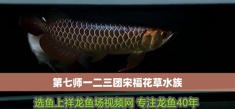 第七師一二三團(tuán)宋福花草水族