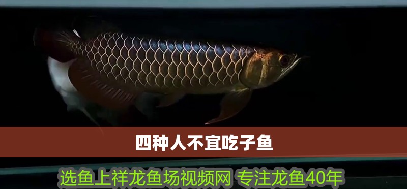 四種人不宜吃子魚