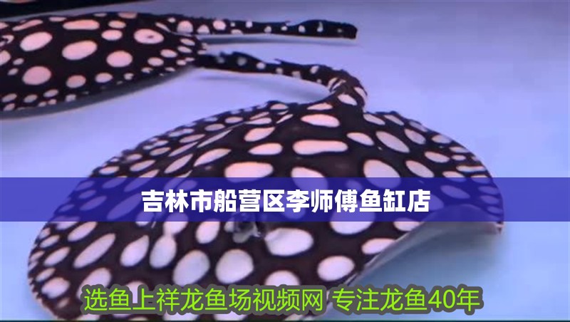 吉林市船營區李師傅魚缸店