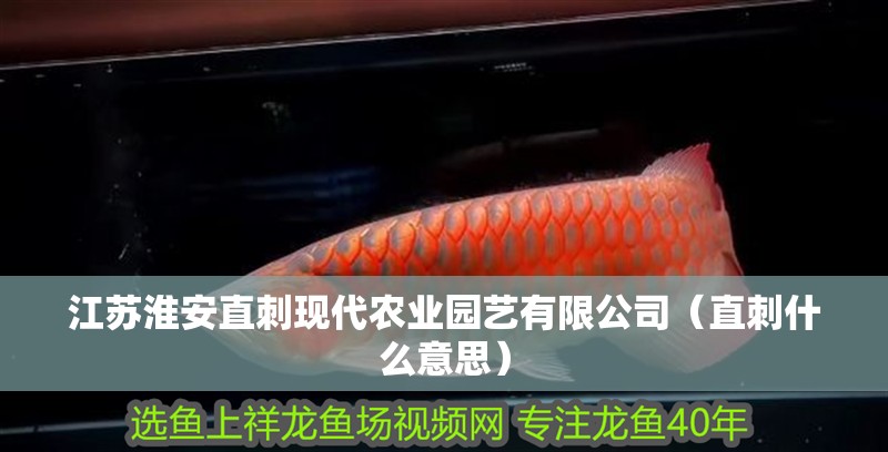 江蘇淮安直刺現代農業園藝有限公司（直刺什么意思）