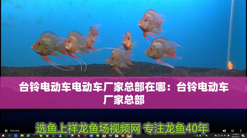 臺鈴電動車電動車廠家總部在哪：臺鈴電動車廠家總部
