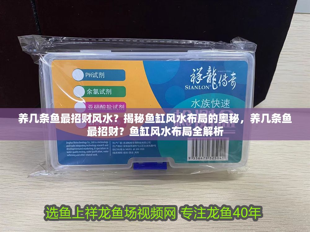 養幾條魚最招財風水？揭秘魚缸風水布局的奧秘，養幾條魚最招財？魚缸風水布局全解析 養幾條魚最招財風水？揭秘魚缸風水布局的奧秘，養幾條魚最招財？魚缸風水布局全解析 龍魚百科 第1張