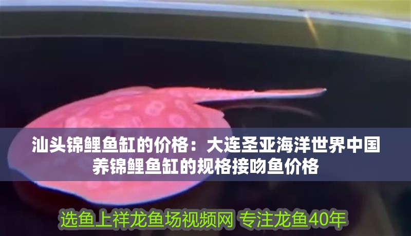 汕頭錦鯉魚缸的價(jià)格：大連圣亞海洋世界中國(guó)養(yǎng)錦鯉魚缸的規(guī)格接吻魚價(jià)格