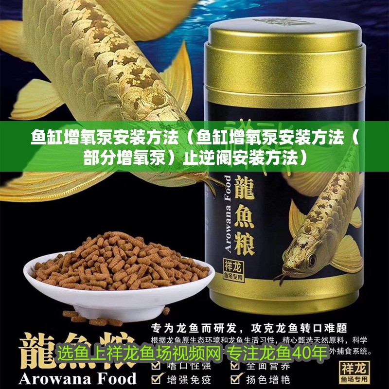 魚缸增氧泵安裝方法（魚缸增氧泵安裝方法（部分增氧泵）止逆閥安裝方法） 魚缸增氧泵安裝方法（魚缸增氧泵安裝方法（部分增氧泵）止逆閥安裝方法） 魚缸百科