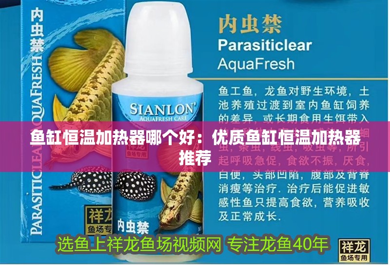 魚缸恒溫加熱器哪個好：優質魚缸恒溫加熱器推薦