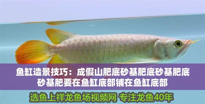 魚缸造景技巧：成假山肥底砂基肥底砂基肥底砂基肥要在魚缸底部鋪在魚缸底部 魚缸造景技巧：成假山肥底砂基肥底砂基肥底砂基肥要在魚缸底部鋪在魚缸底部 魚缸百科