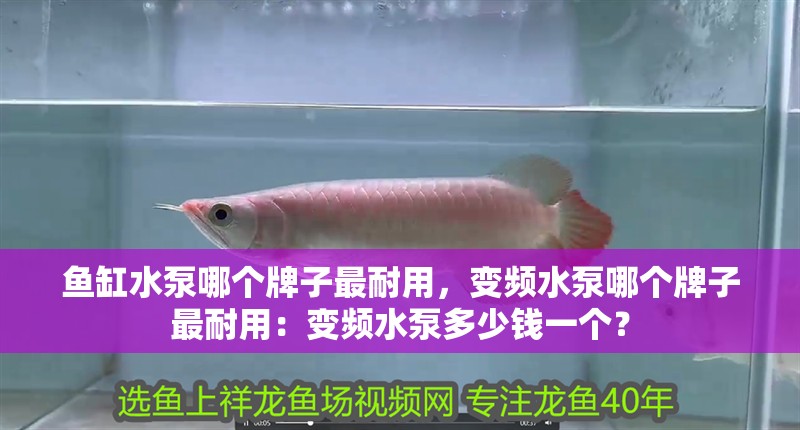 魚缸水泵哪個牌子最耐用，變頻水泵哪個牌子最耐用：變頻水泵多少錢一個？