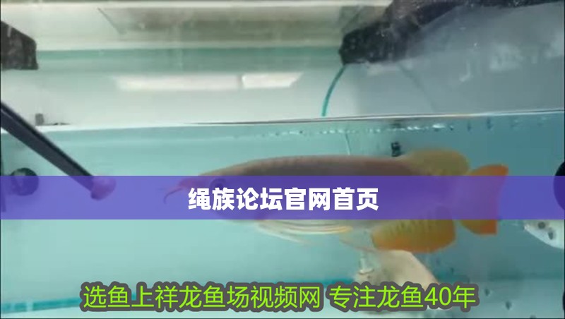 繩族論壇官網首頁