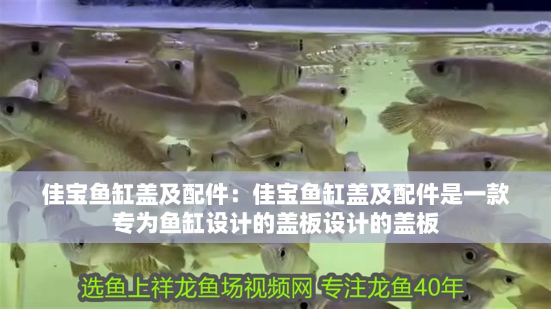 佳寶魚缸蓋及配件：佳寶魚缸蓋及配件是一款專為魚缸設計的蓋板設計的蓋板