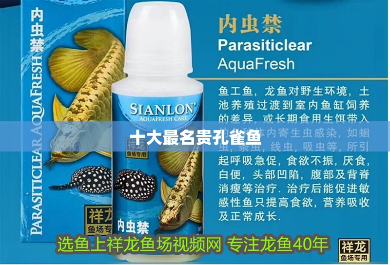 十大最名貴孔雀魚