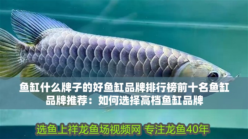 魚缸什么牌子的好魚缸品牌排行榜前十名魚缸品牌推薦：如何選擇高檔魚缸品牌
