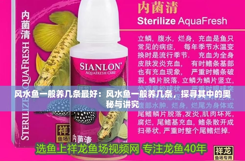 風水魚一般養幾條最好：風水魚一般養幾條，探尋其中的奧秘與講究