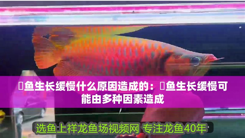 魟魚生長緩慢什么原因造成的：魟魚生長緩慢可能由多種因素造成