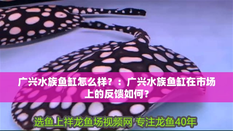 廣興水族魚缸怎么樣？：廣興水族魚缸在市場上的反饋如何？