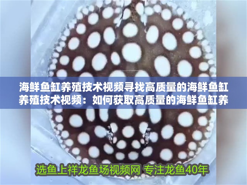 海鮮魚缸養殖技術視頻尋找高質量的海鮮魚缸養殖技術視頻：如何獲取高質量的海鮮魚缸養殖技術