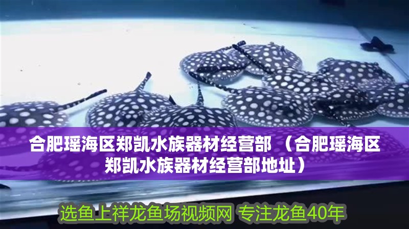 合肥瑤海區鄭凱水族器材經營部 （合肥瑤海區鄭凱水族器材經營部地址）