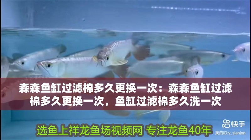 森森魚缸過濾棉多久更換一次：森森魚缸過濾棉多久更換一次，魚缸過濾棉多久洗一次