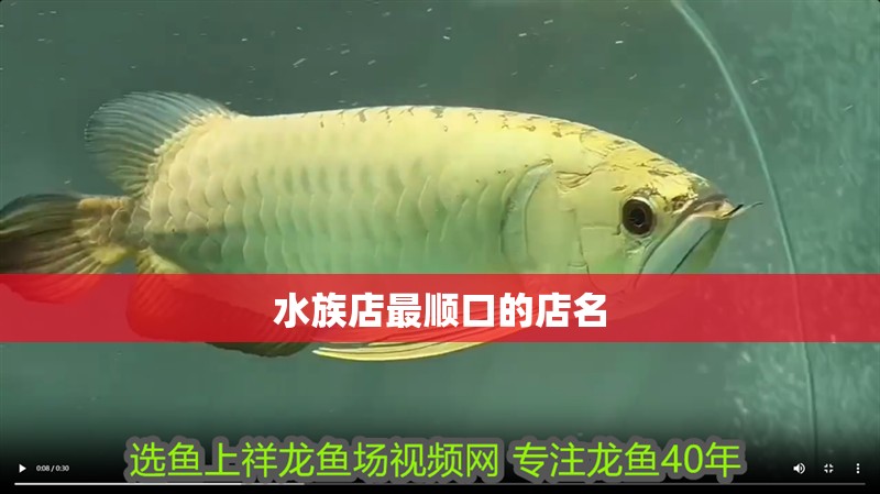 水族店最順口的店名