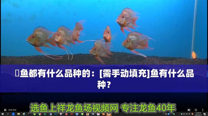 魟魚都有什么品種的：[需手動填充]魚有什么品種？