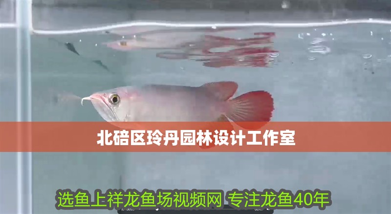 北碚區玲丹園林設計工作室