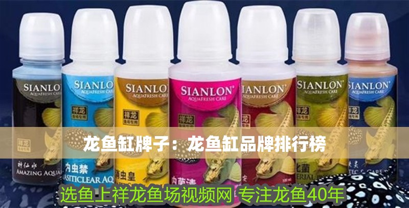 龍魚缸牌子：龍魚缸品牌排行榜