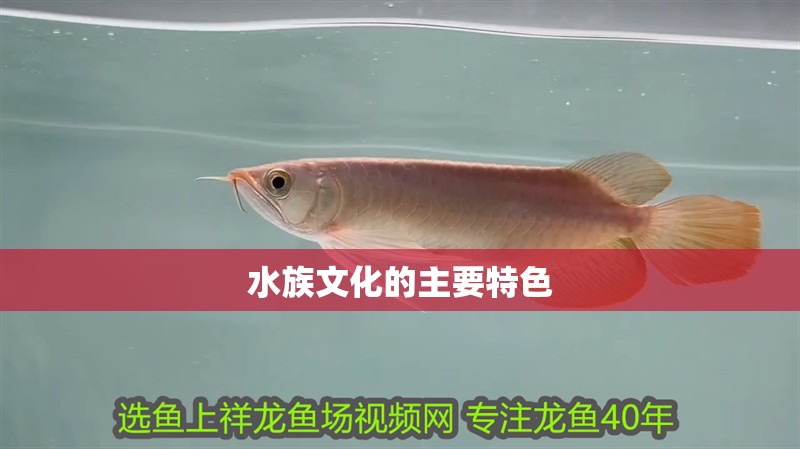 水族文化的主要特色