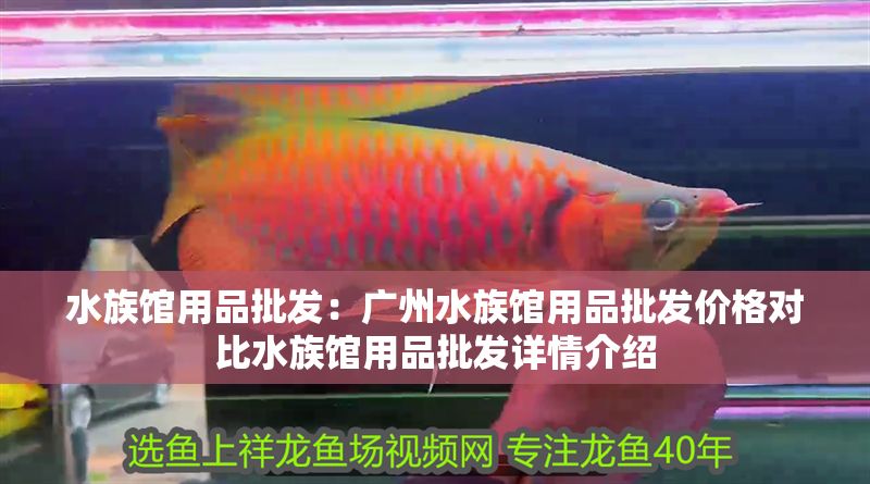 水族館用品批發(fā)：廣州水族館用品批發(fā)價格對比水族館用品批發(fā)詳情介紹