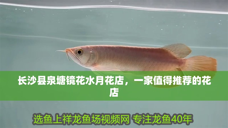 長(zhǎng)沙縣泉塘鏡花水月花店，一家值得推薦的花店