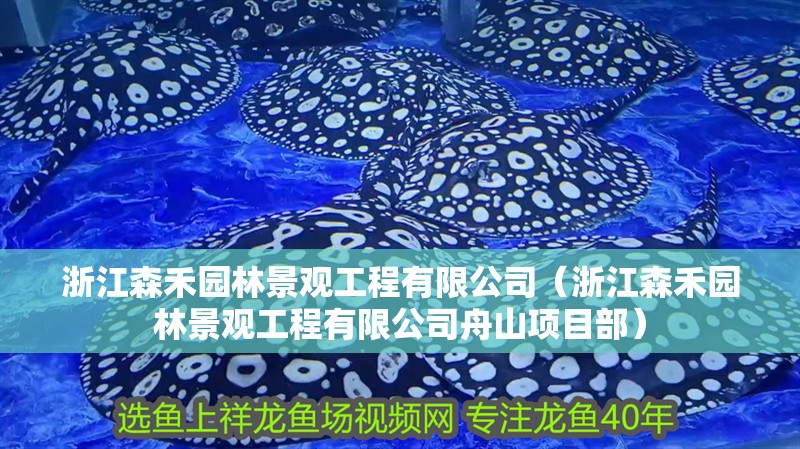浙江森禾園林景觀工程有限公司（浙江森禾園林景觀工程有限公司舟山項目部）
