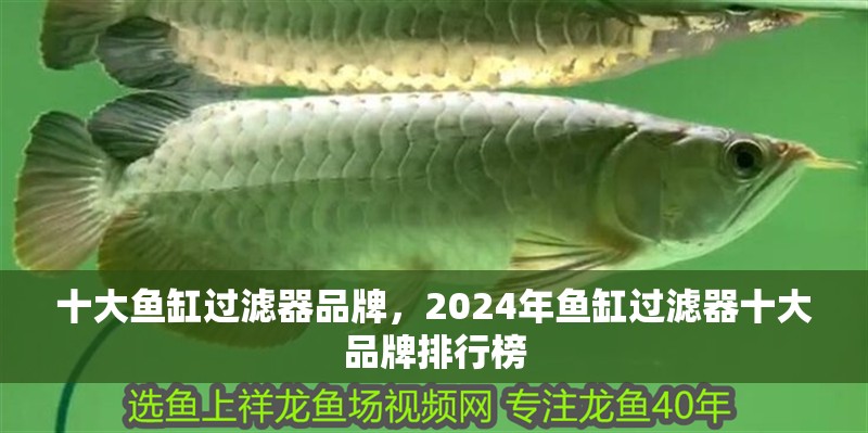十大魚缸過濾器品牌，2024年魚缸過濾器十大品牌排行榜