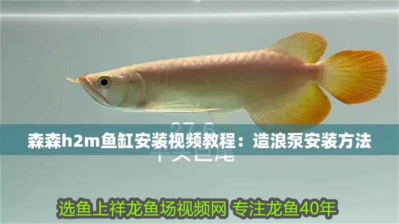 森森h(huán)2m魚缸安裝視頻教程：造浪泵安裝方法
