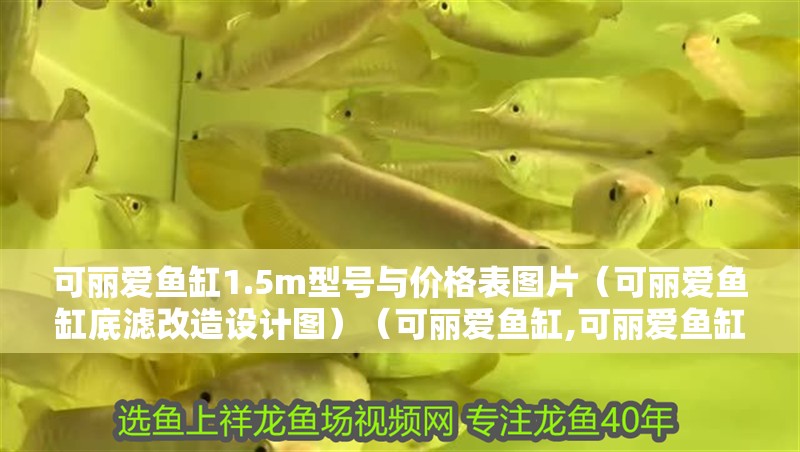 可麗愛魚缸1.5m型號與價格表圖片（可麗愛魚缸底濾改造設計圖）（可麗愛魚缸,可麗愛魚缸1.5m型號與價格表）