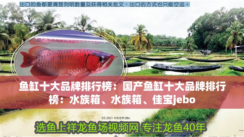 魚缸十大品牌排行榜：國產(chǎn)魚缸十大品牌排行榜：水族箱、水族箱、佳寶jebo