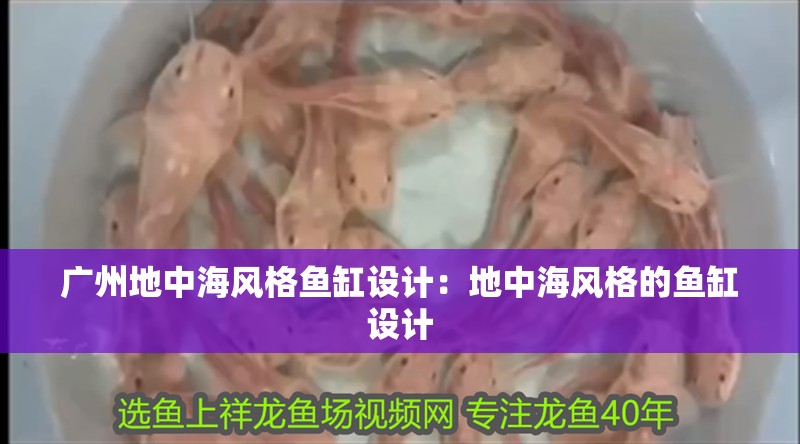 廣州地中海風(fēng)格魚(yú)缸設(shè)計(jì)：地中海風(fēng)格的魚(yú)缸設(shè)計(jì)