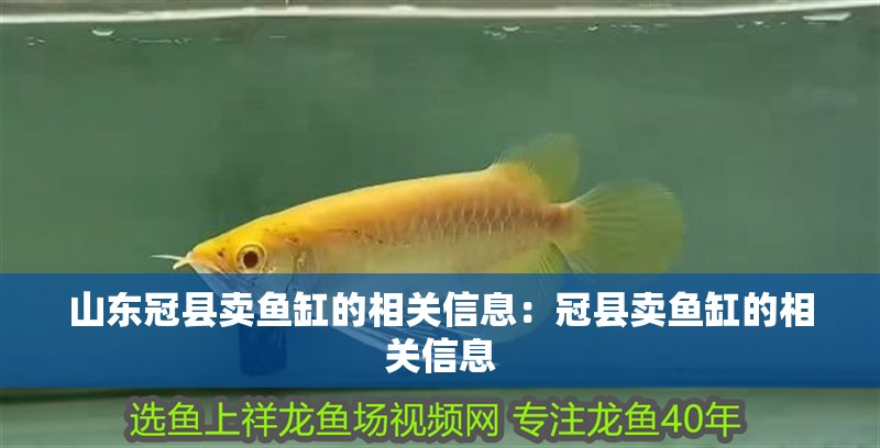 山東冠縣賣魚缸的相關信息：冠縣賣魚缸的相關信息