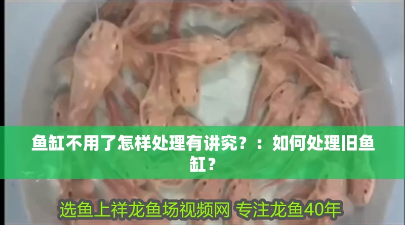 魚缸不用了怎樣處理有講究？：如何處理舊魚缸？