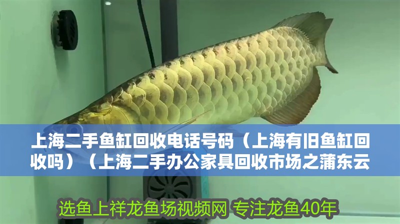 上海二手魚缸回收電話號碼（上海有舊魚缸回收嗎）（上海二手辦公家具回收市場之蒲東云臺路二手家具回收市場）