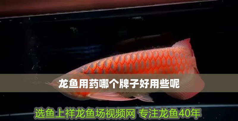 龍魚用藥哪個牌子好用些呢