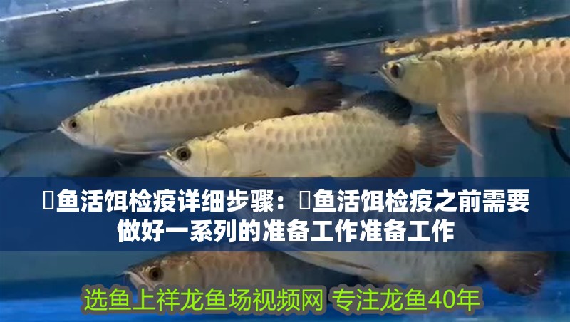 魟魚活餌檢疫詳細步驟：魟魚活餌檢疫之前需要做好一系列的準備工作準備工作